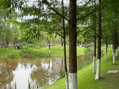 -沐仙湖湿地公园