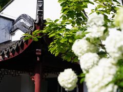 -苏州园林博物馆
