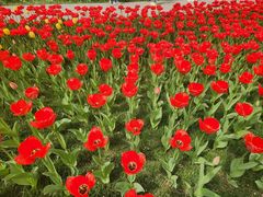 -北京友谊宾馆·俄罗斯餐厅