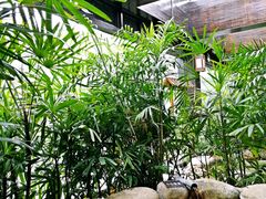 -三江森林温泉度假区
