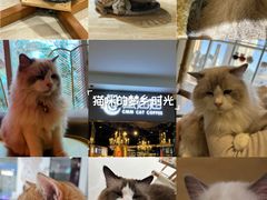-藏猫猫咖啡主题馆(中央大道店)