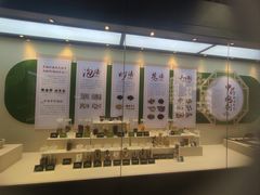 -广东中医药博物馆
