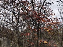 -秦岭终南山世界地质公园翠华山景区