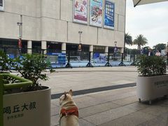 -清晖小苑·顺德菜(观澜湖新城店)
