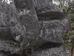 -千岛湖东南湖区