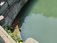 -老味道1992(武当山店)