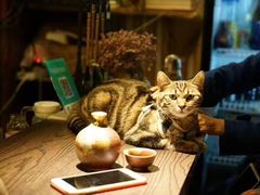 -蘭葶花酒馆(鼓楼店)