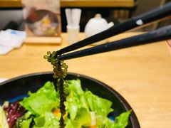 -Hatsune隐泉日式料理(SKP店)