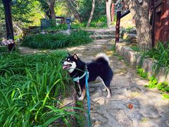 -北京水岸山吧度假村(雁栖镇店)