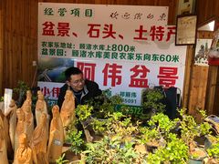 -长兴慧子土特产茶行