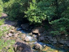 -广州白江湖森林公园