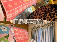 -大树装饰·十年本土家装