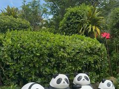 -香港海洋公园