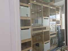 -爱洗澡的猫(望京店)