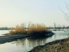 -绿堤公园