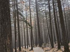 -芦芽山旅游度假区