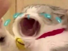 -Xcape异时刻密室逃脱(龙湖丁桥天街店)