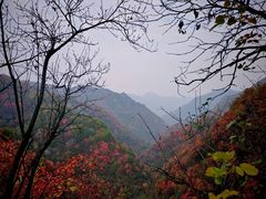-抱龙峪