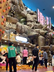 -卡通尼·Safari非洲探索乐园·生日会(金桥国际商业广场店)