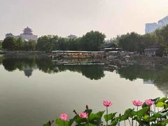 -莲花池公园