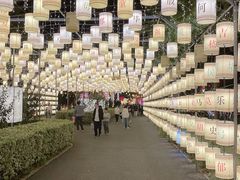 -歌斐颂巧克力小镇