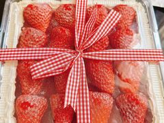 -糖四角手工烘焙