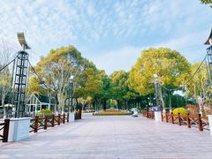 -上海鲜花港