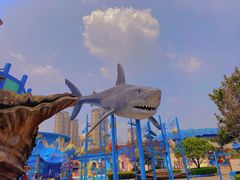 -海合安武汉极地海洋公园