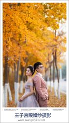 点击看大图 -王子宫殿婚纱摄影(环山路总店)
