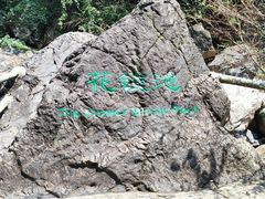 -黄山翡翠谷景区