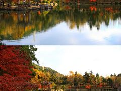 -四明山国家森林公园