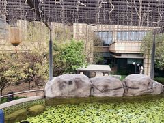 -北京乐多港万豪酒店汤乐宫温泉