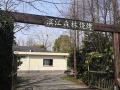 -上海滨江森林公园