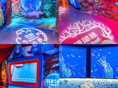 -沈阳海洋探索中心