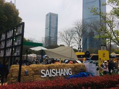 -陆家嘴中心绿地