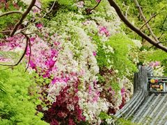 -深圳国际园林花卉博览园