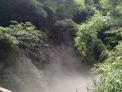 -川西竹海景区