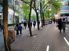 -茶花妹子云南餐厅(北大店)