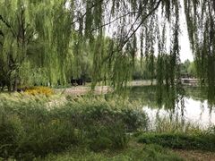 -望湖公园