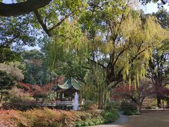 -申粤轩酒楼·三十年粤菜经典(丁香花园店)