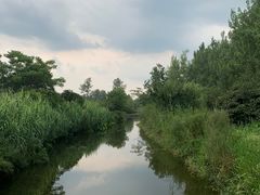 -溱湖国家湿地公园