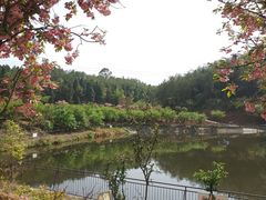 -绵阳盛世樱花悠乐谷