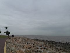 -野狸岛