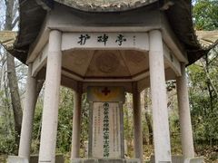 -灵谷景区