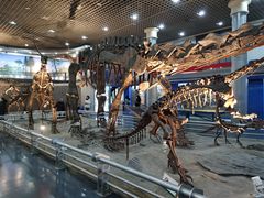 -国家自然博物馆