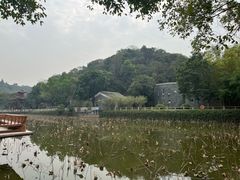 -李小龙乐园(顺德均安店)