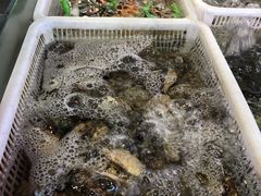 -阿伟海鲜楼·福建菜(延寿店)