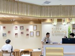 -小猫来了·猫舍(红山六九七九店)