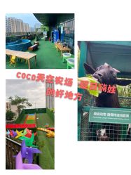 -可可天空农场(中大店)