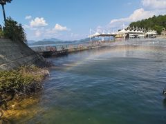 -小团圆灶台鱼·百城头牌菜(千岛湖店)